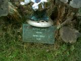 image of grave number 196109